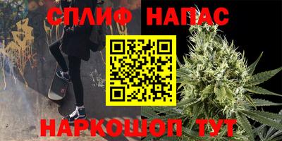 хмурый Кингисепп