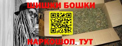 хмурый Кингисепп