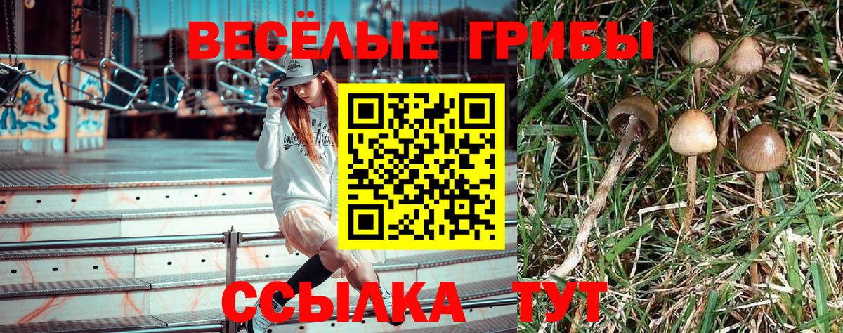 Галлюциногенные грибы прущие грибы  Вход с VPN  Псилоцибиновые грибы мицелий  Комсомольск-на-Амуре 